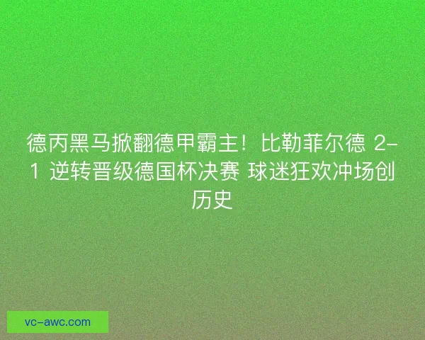 德丙黑马掀翻德甲霸主！比勒菲尔德 2-1 逆转晋级德国杯决赛 球迷狂欢冲场创历史