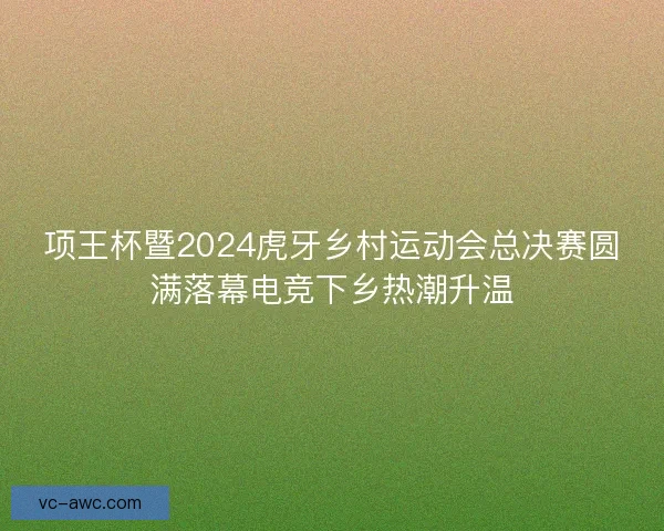 项王杯暨2024虎牙乡村运动会总决赛圆满落幕电竞下乡热潮升温 项王杯暨2024虎牙乡村运动会总决赛圆满落幕电竞下乡热潮升温