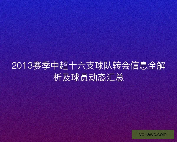 2013赛季中超十六支球队转会信息全解析及球员动态汇总